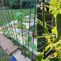 Piquets pour plantes grimpantes en acier Support pour plantes en pot Tomates et fleurs