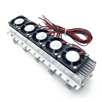 360W 30A DC 12V Peltier refroidisseur semi-conducteur climatiseur système de refroidissement Peltier refroidisseur thermoélectrique réfrigération kit de bricolage