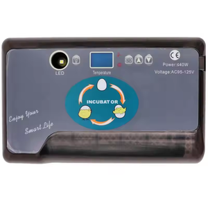 Mini incubadora de huevos y incubadora de pantalla electrónica para incubar huevos de gallina, nueva condición para la venta, 12 Uds. - Product Image 2