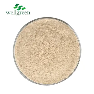 Natural 100% proteína extracto de cáscara de nuez de fruta pureza polvo recto polvo de pistacho sudanés