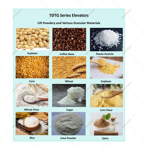 Hocheffizienter Schaufeltransporter, Vertikaler Förderer für Sand und Kies vom Chinesischen Hersteller - Product Image 3