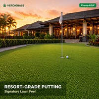 Gazon synthétique pour putting artificiel, toucher doux, sensation réaliste, haute densité, imperméable, ignifuge, tapis de golf extérieur, pelouse synthétique