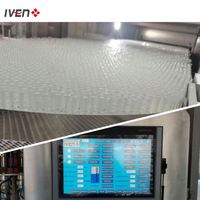 Ligne de production d'étiquetage de remplissage et de scellage d'ampoules en verre et plastique IVEN 5Ml - 50Ml