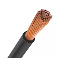 Professionelles Industrielles 25mm² 35mm² 50mm² 70mm² 95mm² Kupfer Geschweißtes Flexibles PVC-Kabel 450/750V für Installationen