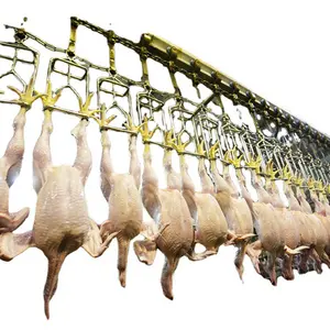 Matériel d'abattage de volailles Ligne d'assemblage de matériel d'abattage de poulets, de canards et d'oies