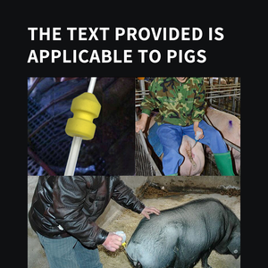 मस्यडर अनुकूलित स्वाइन इनसेमिनेशन ट्यूब उत्पादन बहु-पारस-गहरे ई कैथीटर के साथ luer और पूंछ प्लग के साथ - Product Image 6