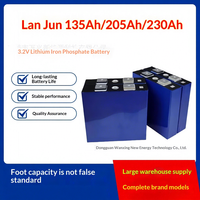 Batterie lithium LiFePO4 32V multi-capacité Ruipulan neuve pour véhicules électriques -20 60
