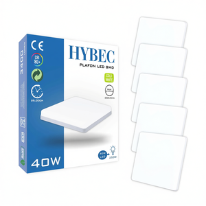Hybec <b>Square</b> <b>Led</b> <b>Ceiling</b> <b>Light</b> 40W 300mm Cold White Smd Panel - Product Image 2
