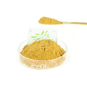 Poudre d'extrait de <span class=keywords><strong>citron</strong></span> de doigt naturel de qualité alimentaire d'approvisionnement direct d'usine 99% marque HaoTian certifiée ISO pure dans l'emballage de tambour - Product Image 2