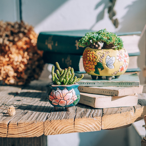 Maceta de cerámica para interiores pintada <span class=keywords><strong>a</strong></span> <span class=keywords><strong>mano</strong></span>, Mini maceta coreana carnosa y suculenta bonita, jarrón de porcelana para jardinerí<span class=keywords><strong>a</strong></span> de mesa - Product Image 5