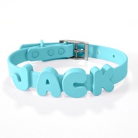 Collier personnalisé pour chiens et chats avec lettres en silicone DIY, dessin animé, nom, imperméable, nouvelle arrivée