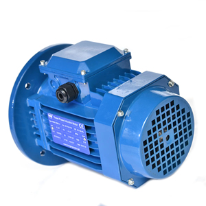 มอเตอร์เหนี่ยวนำไฟฟ้ากระแสสลับสามเฟสมาตรฐาน OEM 220V/380V กำลัง 15KW สำหรับปั๊มน้ำ 3000 รอบต่อนาที IP54/IP55 โครงเหล็กหล่อ - Product Image 3