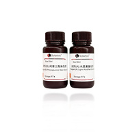 Kit de Tinción de Lignina de Alta Calidad Solarbio (Método de Floroglucinol) para Investigación Científica