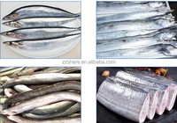 Machines de découpe de tête de poisson saumon omani riyal pour couper le poisson glacé