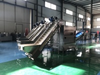 Kls Automatische Geïntegreerde Uienproductielijn-Volautomatische Peeling Snijden In Blokjes Frituurverpakking (500-1000 Kg/u Capaciteit)