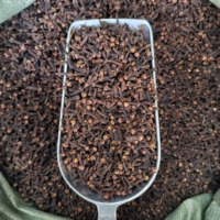 TONGJIN Chine Prix de Gros Clous de Girofle de Qualité Supérieure Épice Alimentaire Cultivée Naturellement