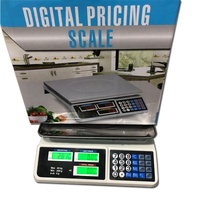 Báscula Digital de Banco de 30kg/40kg Directo de Fábrica, Pantalla LED, Precisión de 1g, Material ABS, Compatible con OEM/ODM