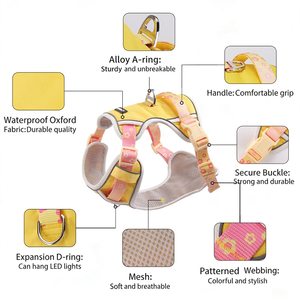 Harnais pour chien de haute qualité avec sangle réglable en nylon, anneau en <span class=keywords><strong>D</strong></span>, harnais de poitrine anti-évasion, laisse brodée pour chien - Product Image 4