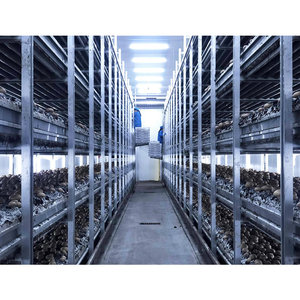 Estantes de cultivo de granja de setas con botón blanco - Product Image 3