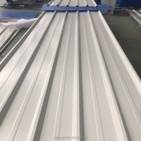 Tôle de Toiture Métallique Ondulée en Acier Premium 0,5 mm – Épaisseur Réelle – Vente Directe Usine – Tôle d'Acier Ondulée de Haute Qualité