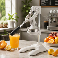 Presse-agrumes manuel de qualité commerciale pour citrons et oranges, extracteur de jus à pression manuelle pour la maison et la cuisine