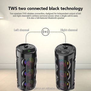 ZQS4303 Équipement de musique à lumière LED RVB extérieure personnalisée avec micro Équipement de musique Karoke Bt Système de cinéma maison Haut-parleur sans fil - Product Image 5