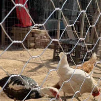Petit treillis galvanisé à mailles fines pour cage à oiseaux, filet hexagonal pour la lutte antiparasitaire DIY