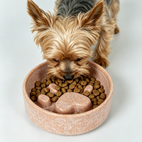HomyPawz Bol pour chat et chien en céramique moderne avec empreinte de patte 3D, antidérapant, de luxe, compatible lave-vaisselle, bol à alimentation lente en céramique