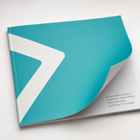 Service d'impression économique de catalogues, brochures et flyers personnalisés avec logo pour entreprises, en papier couché kraft, impression offset, reliure plastique ou à spirale, Jiangsu