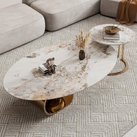 Ensemble de table basse ovale en pierre frittée en acier inoxydable de luxe simple moderne italien, meubles de salon