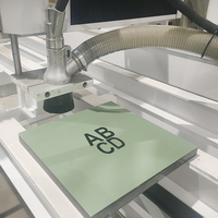 La machine de sablage de pierre entièrement automatique est équipée d'un dispositif de dépoussiérage, créant un environnement propre.