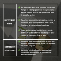 Marque Blanche OEM/ODM Poudre Détox Naturelle Extrême Goût Ananas pour Perte de Poids Adulte Soutien Intestinal