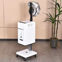 Appareil de soin capillaire à vapeur Nano Micro Mist en métal, portable, design blanc contemporain de luxe, pour usage en salon