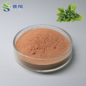 Supplément de qualité alimentaire de haute qualité 50% épigallocatéchine gallate (EGCG) poudre d'extrait de thé vert - Product Image 4