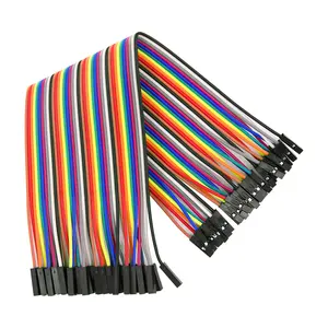 40pcs Dupont Cable Jumper Wire Dupont Line 20Cm 40Pin Female To Female 2.54Mm Dupont Connector Cable Jumper Cable 40PCS Wires