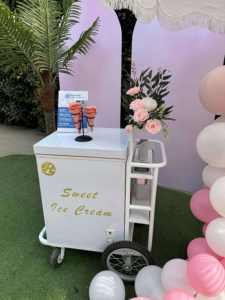 Chariot <span class=keywords><strong>de</strong></span> nourriture mobile poussé à la main pour la crème glacée et les sucettes glacées Chariot <span class=keywords><strong>de</strong></span> poussée réfrigéré <span class=keywords><strong>de</strong></span> style décrochage avec système <span class=keywords><strong>de</strong></span> pompe à <span class=keywords><strong>eau</strong></span> - Product Image 4