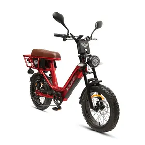 TXED 새로 인기있는 20 인치 팻 타이어 눈 스타일 전기 오토바이 자전거