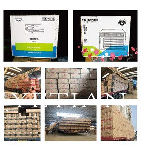 Aires Acondicionados de Ventana de Alta Eficiencia Energética (EER) para Norteamérica, hasta 11,899 BTU/h, para Autos, Hoteles y Uso en Exteriores - Product Image 6