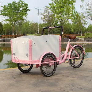 Cargo Bike Dreirad mit Batterie Bangladesch Hersteller Firma
