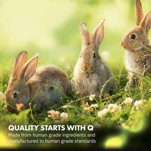 Suplemento Dietético Probiótico en Polvo para Conejos, Etiqueta Personalizada, Mejora la Absorción de Nutrientes - Product Image 3