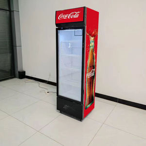 Congélateur vertical vitré pour boissons, réfrigérateur de présentation pour cola et boissons, idéal pour les magasins - Product Image 1