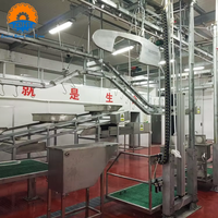 Ligne d'abattage de bovins certifiée CE, projet clé en main, équipement d'abattoir de petite taille, garantie 1 an pour l'installation d'une usine d'abattage de vaches