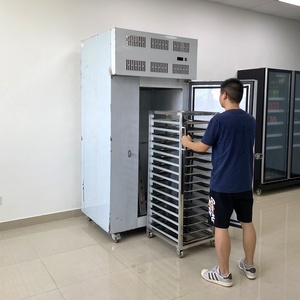 Congelatore a Piastre <span class=keywords><strong>Mr</strong></span>.Frio 15 Vassoi 500 Litri per Alimenti Congelati in Acciaio Inox 304 -40°C con Controllo Digitale e Congelamento Durevole - Product Image 2