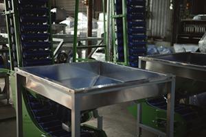 Línea de Descascarillado de Anacardos Tipo 1, Cabezal de Corte de 12 Cuchillas, Capacidad 500-600 kg/h, Totalmente Automática, Alta Calidad - Product Image 3