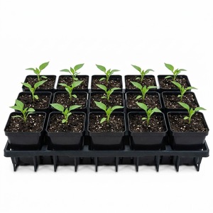 Plateau de transport et d'organisation pour pots ronds, en plastique PP noir, 18 alvéoles, grille ouverte, pour pépinière, vente en gros - Product Image 4