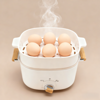 Cuisinière à riz et mini-marmite électrique multifonction avec revêtement céramique pour dortoir étudiant, hôtel, camping-car, foyer, avec CE CB