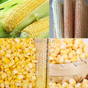 Décortiqueur de maïs frais commercial/éplucheur de maïs sucré/décortiqueur d'épluchage de maïs sucré frais en stock - Product Image 6