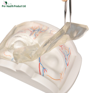 Simulateur ophtalmique : Kit d'entraînement à l'injection <span class=keywords><strong>de</strong></span> vaisseaux sanguins simulés pour étudiants en médecine, médecins, aide pédagogique, sciences médicales, OEM - Product Image 2