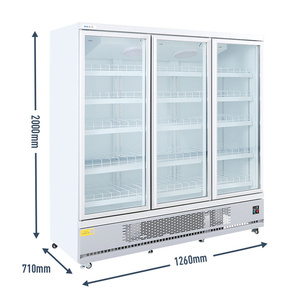 Refrigerador Comercial con Puerta de Vidrio, Refrigerador Vertical para Supermercados, Bebidas, Cerveza, Refrigerador G920, Refrigerador para Bebidas G92 - Product Image 5