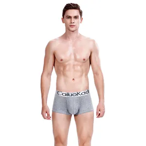 Jeunes taille moyenne sous-vêtements pour hommes Modal Boxer Shorts respirant couleur unie Shorts hommes en conserve vente en gros